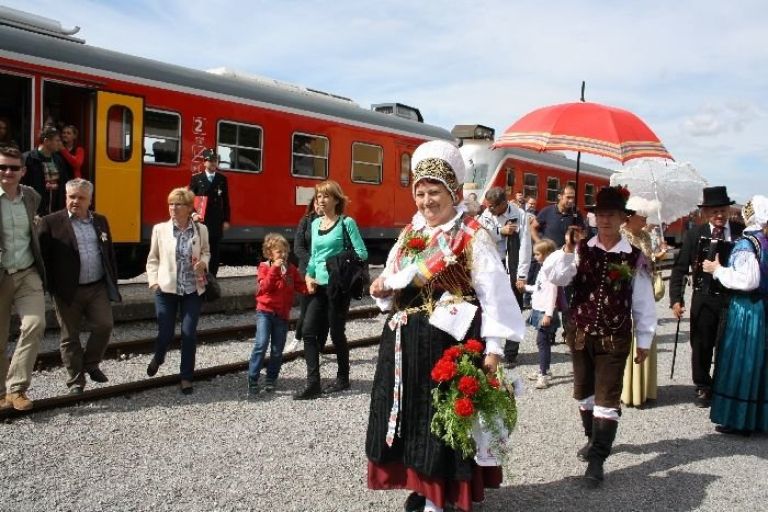 kocevska_proga.jpg
