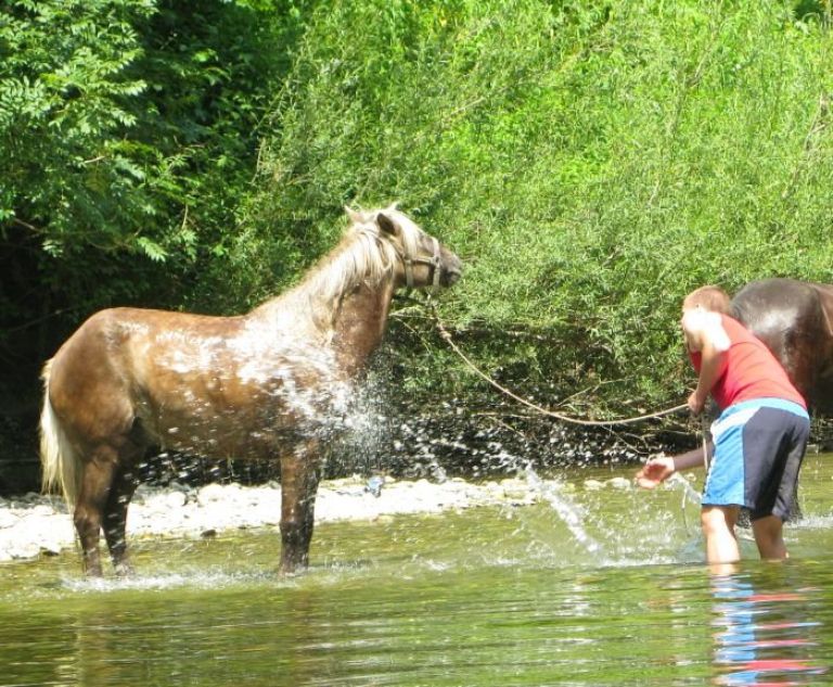 kolpa.jpg