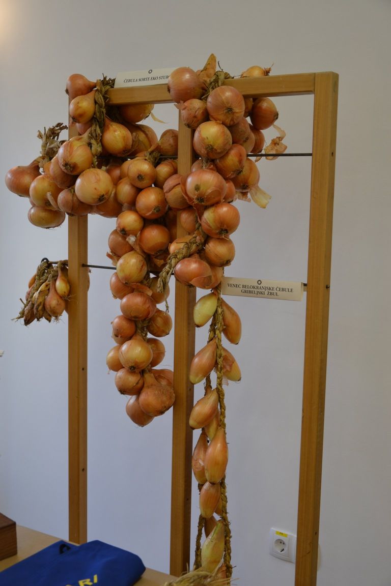 trznica_kostanjevica_6_0001.jpg