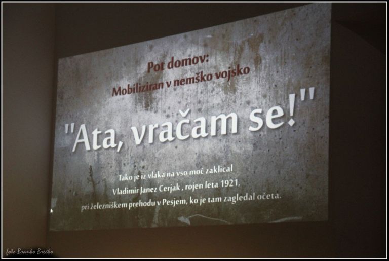 _vitrina__8_.jpg