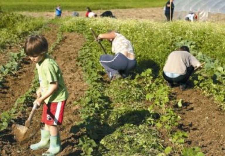 Molitev za dobre pridelke