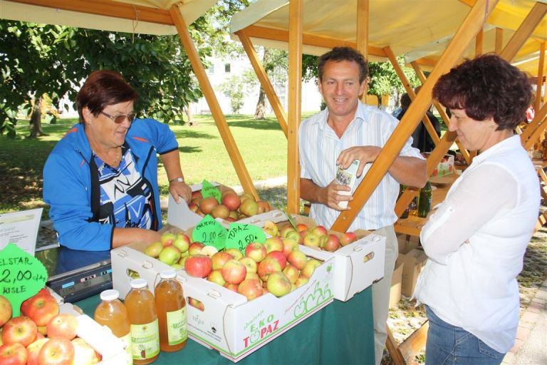 img__x_ekopraznik.jpg