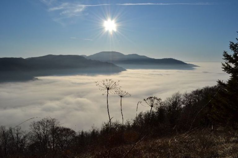 sonce_11.jpg