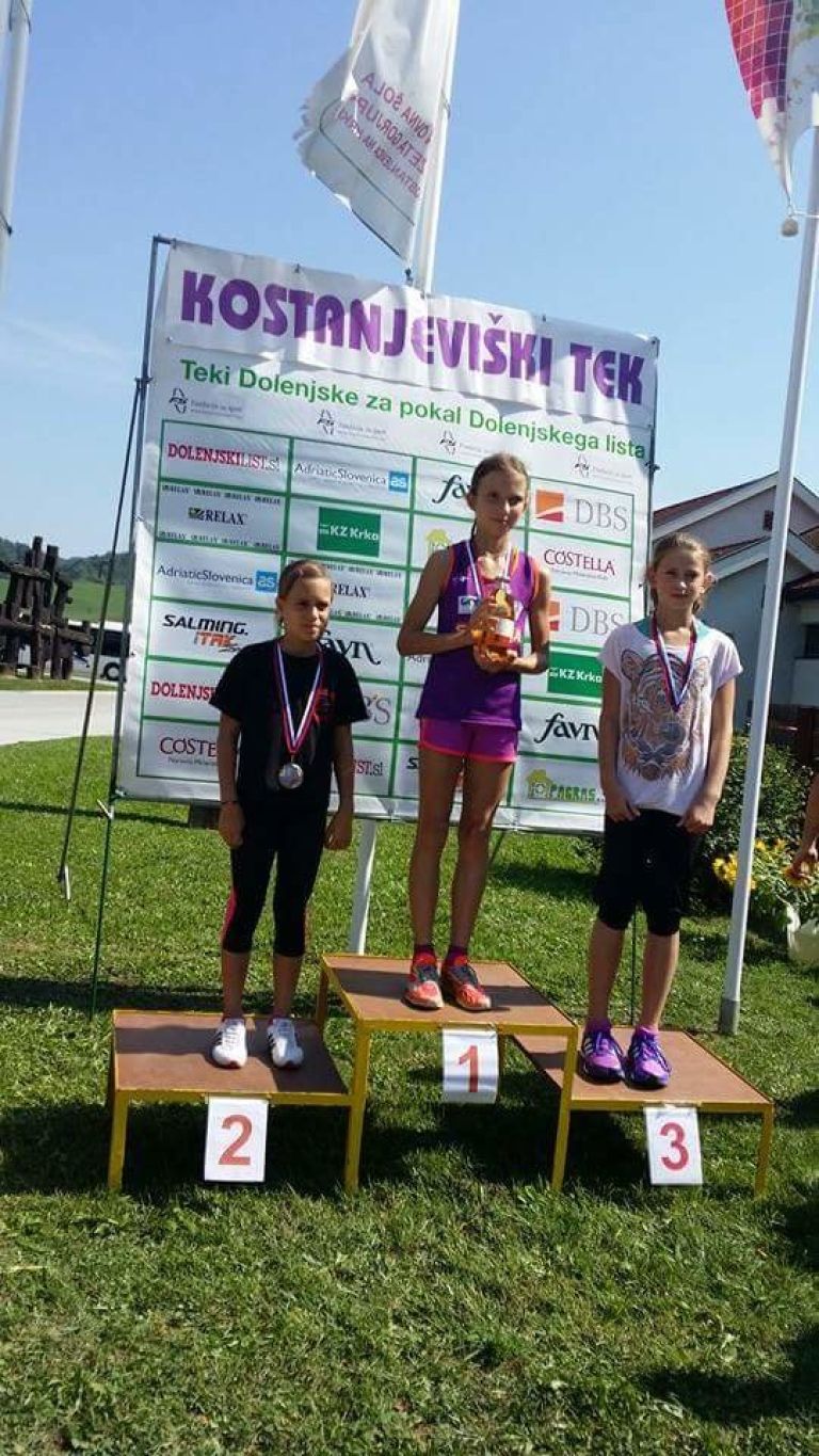 _ajdina_zmaga_v_kostanjevici.jpg