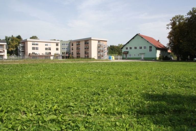 travnik_pri_pp_brezice.jpg