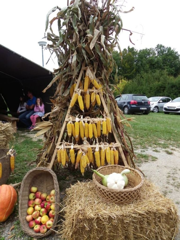 lickanje_koruze_trebelno_001.jpg