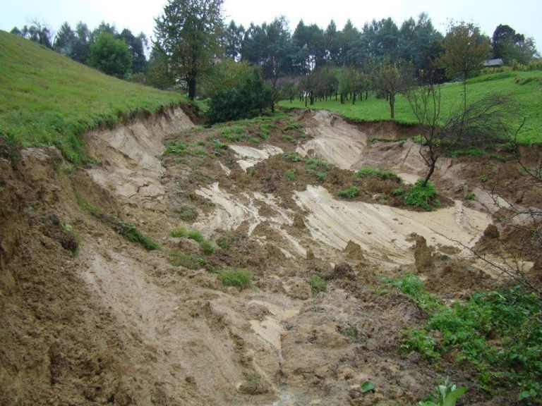plaz.jpg