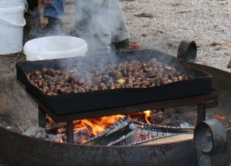 kostanj.jpg