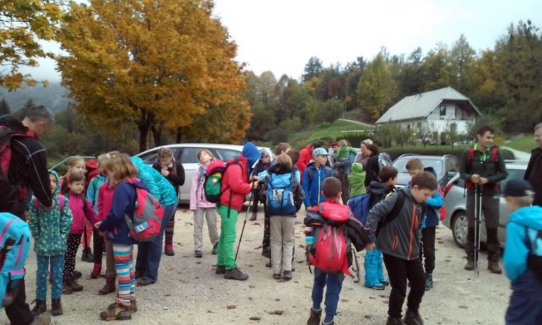 mo_kostanjev_piknik_2015_01.jpg