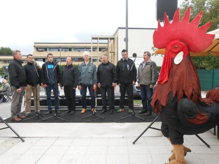_a_domzale__35_.jpg