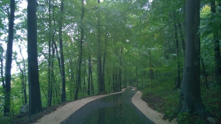 Trbovlje, LC Škofja riža- Završje.jpg