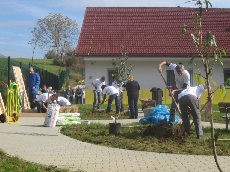 terapevtski_vrt_metlika_4.jpg