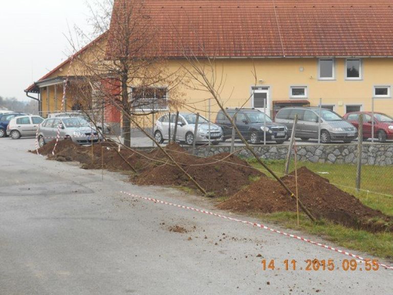 javor__1_.jpg