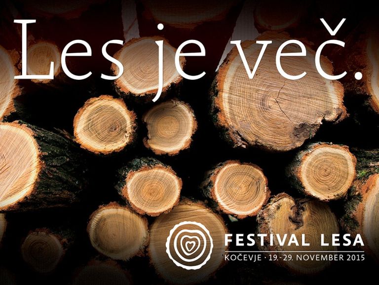 festival_lesa_2015.jpg