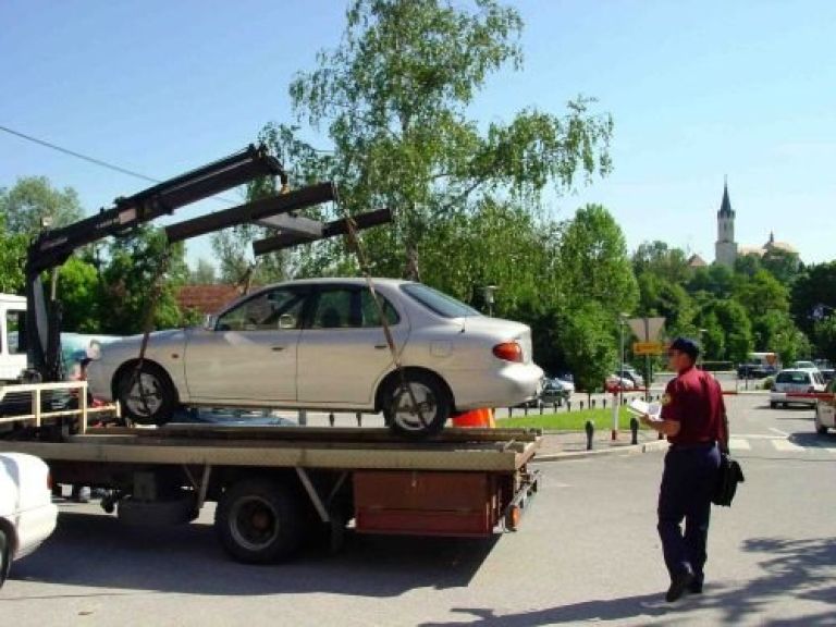 redar_pajek.jpg