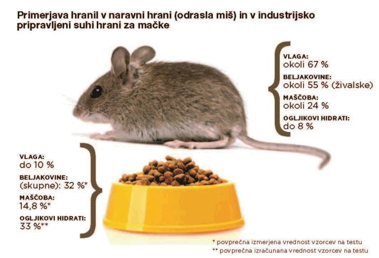 _maca.jpg