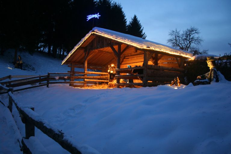 jaslice_7340__1_.jpg
