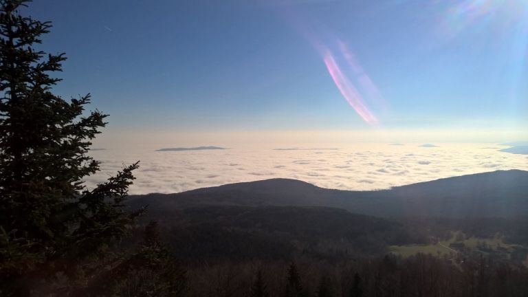wp_20151206_10_47_56_pro.jpg