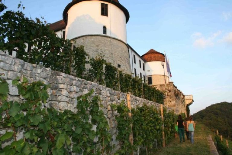 grajski_vinograd.jpg