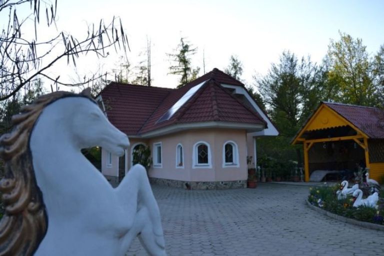 gmajna.jpg