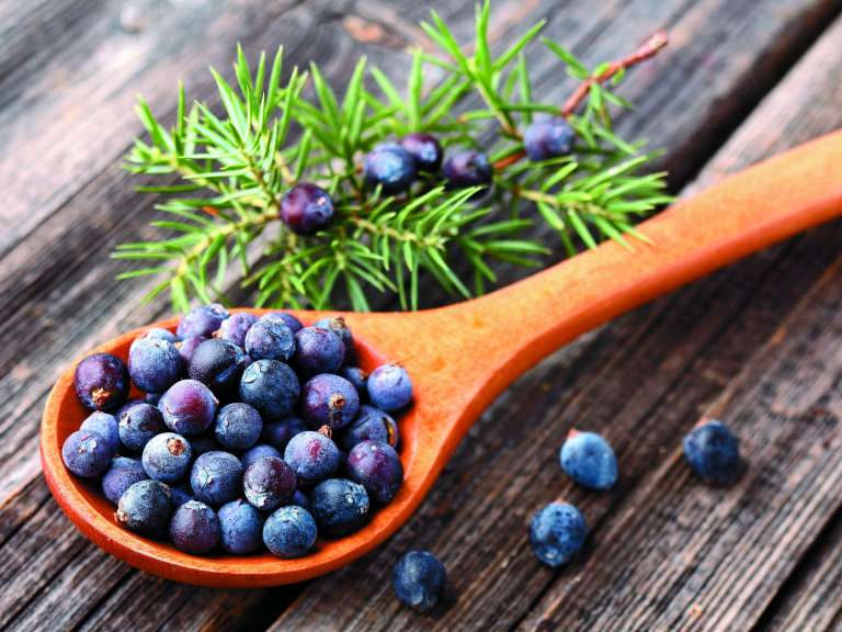 p_nasveti_svicarskega_naturopata4.jpg