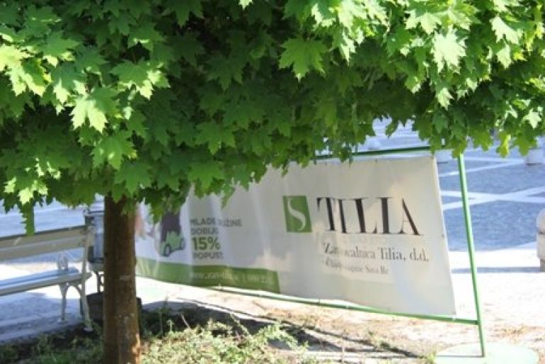 tilia_2011_bdg0101.jpg