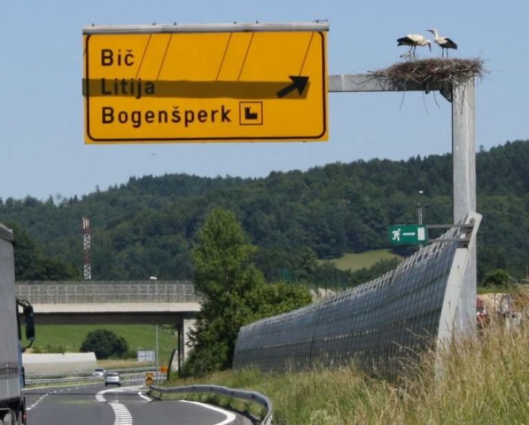 storklje.jpg