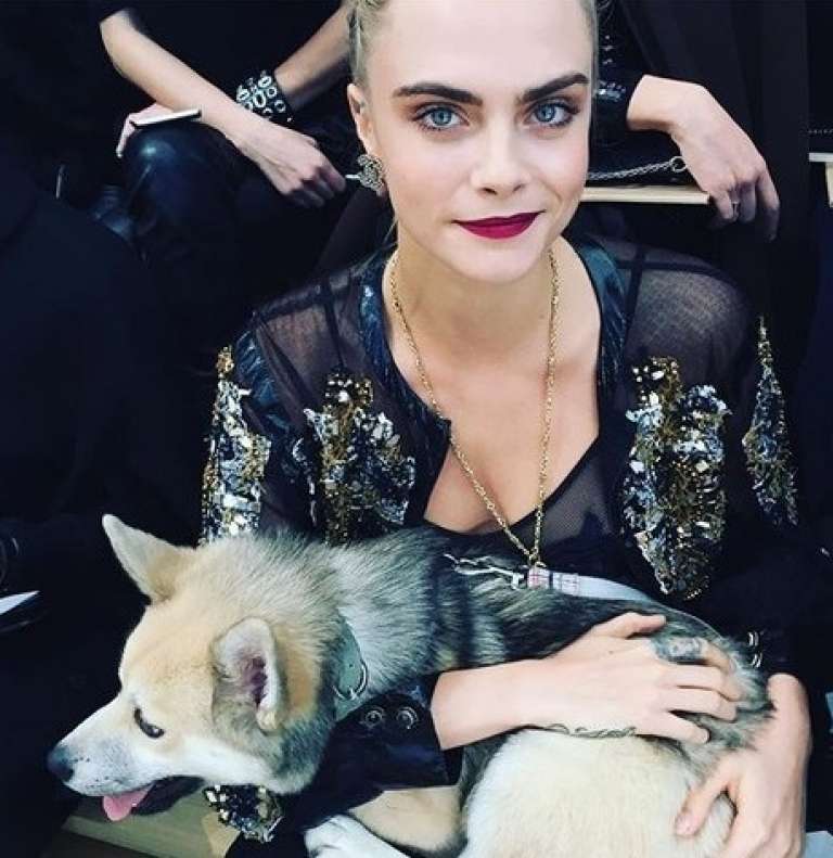 cara d.jpg