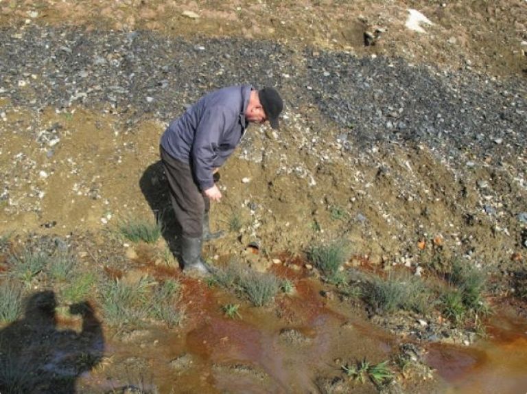 Bukovžlak