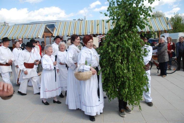kp_kolpa__20_.jpg