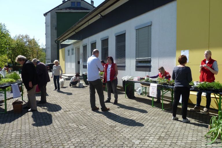 p1280797_000.jpg