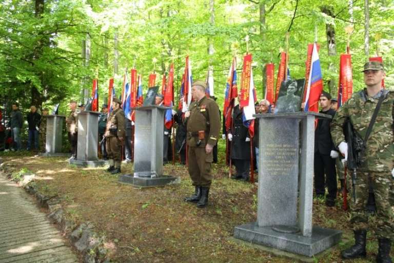 kocevski021.jpg