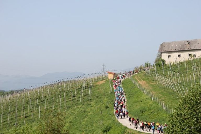 po_slakovi_poti_2013_20.jpg