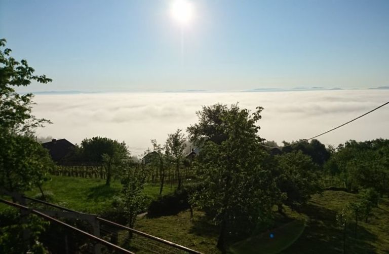 _jutro__3_.jpg