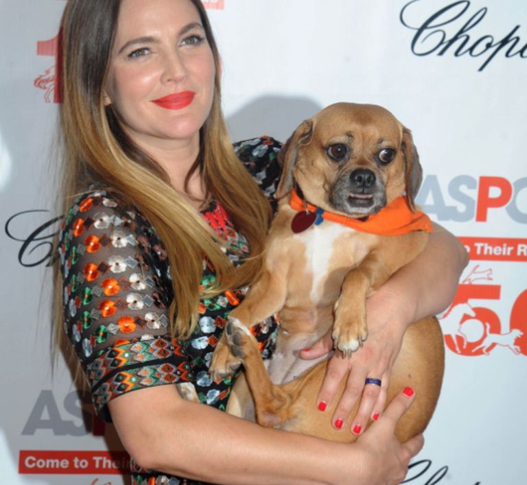 drew barrymore.jpg