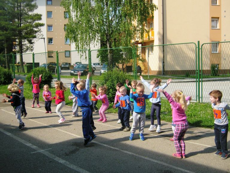 tek_metlika___1.jpg