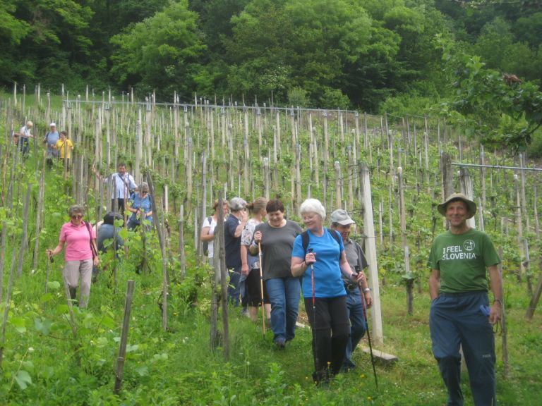 img_3397_000.jpg