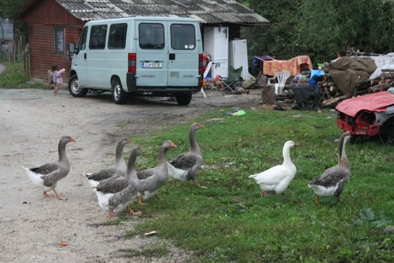 brezje_zabjak_20.jpg