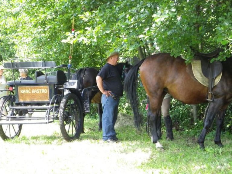 krtinska_deteljica__001.jpg