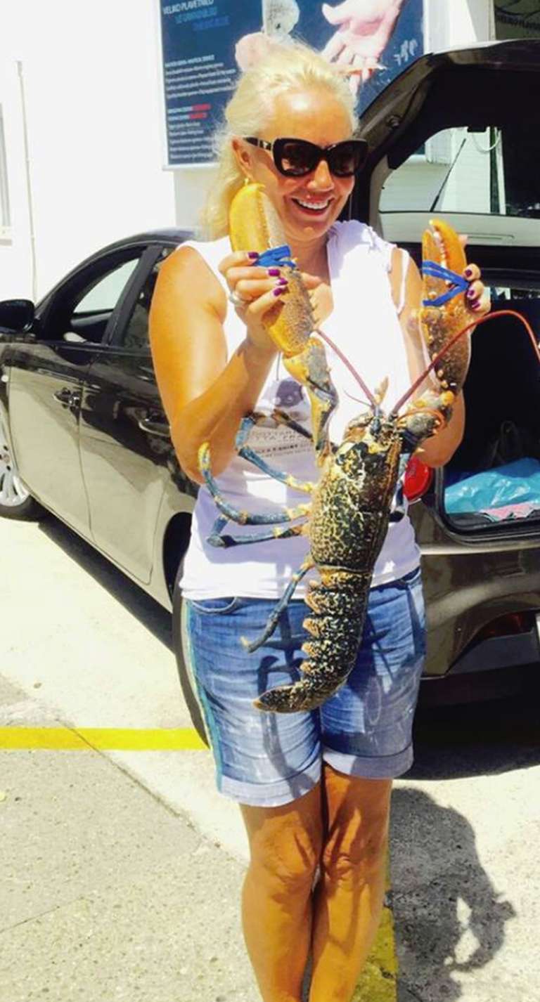 lepa brena jastog.jpg