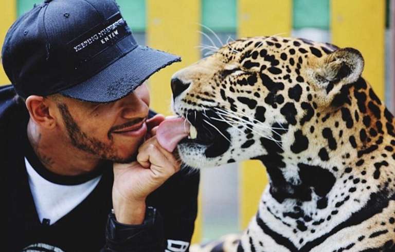 lewis hamilton.jpg