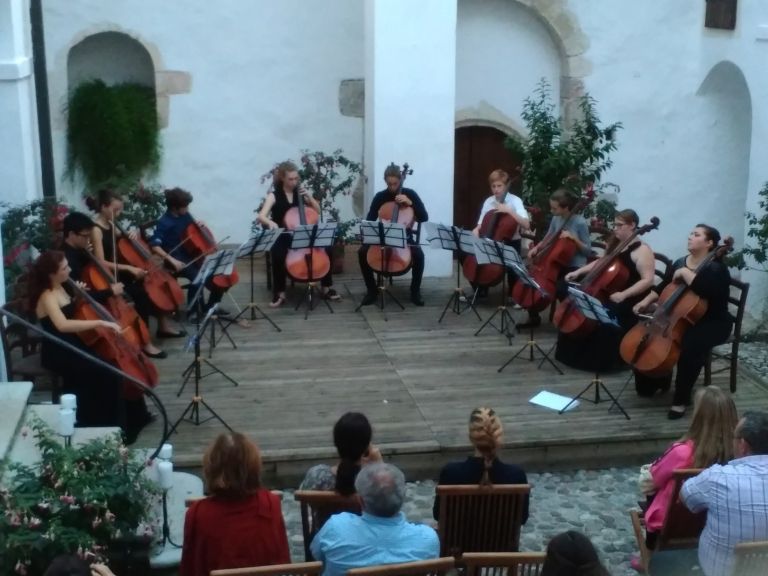 _violon__elo_zaklju__ni.jpg