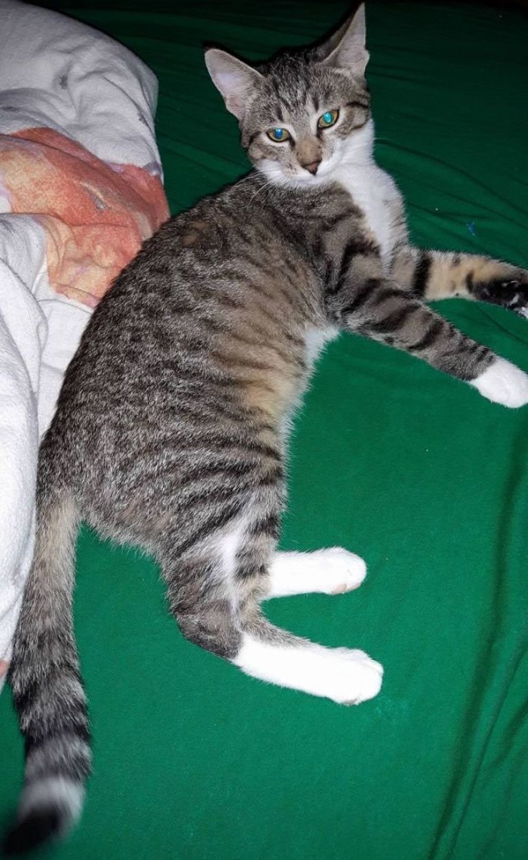 zz.jpg