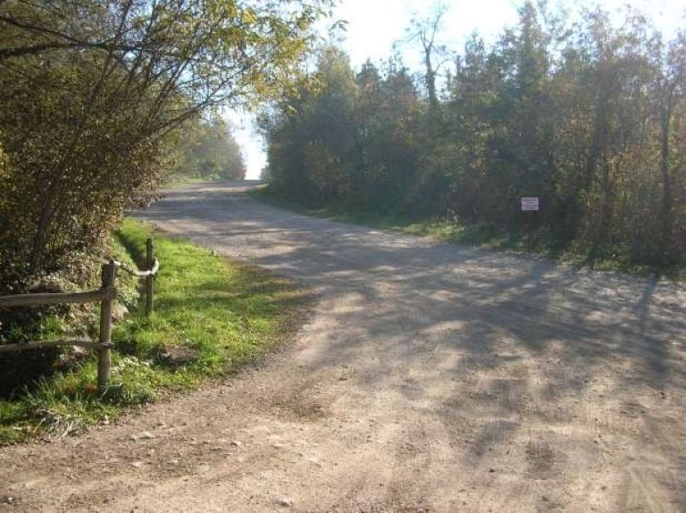 cesta čez hrib v hrastnik.jpeg