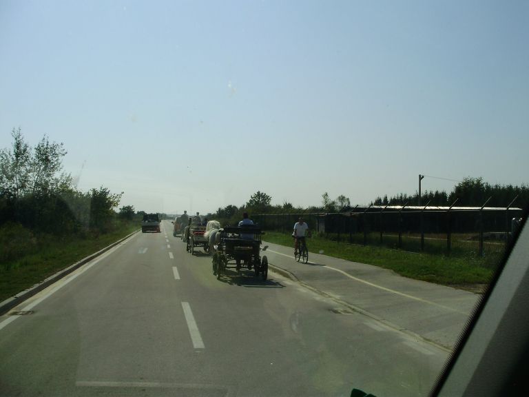 p8250139_000.jpg
