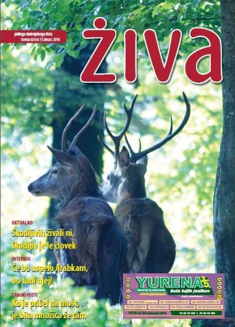 ziva_08.jpg
