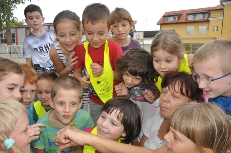bogomolka___5.jpg