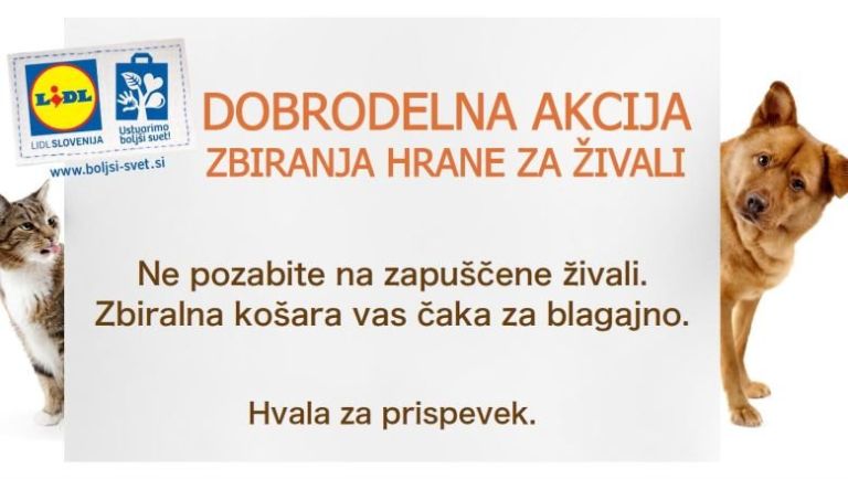 _z4545444.jpg
