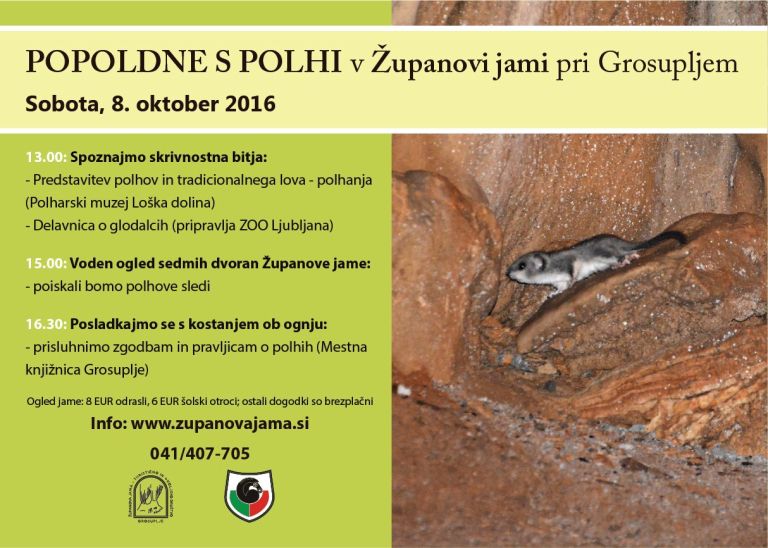plakat_popoldan_s_polhi_2016.jpg