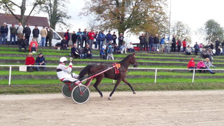 3__dirka_zmagovalca_gulianne_in_tomaz_novak.jpg